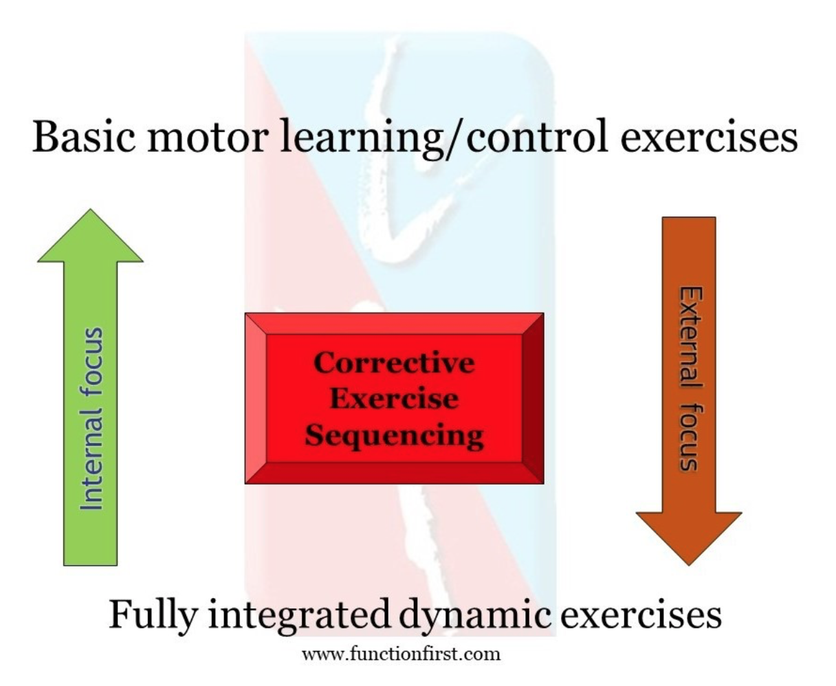 maximizing-motor-learning-cues-matter